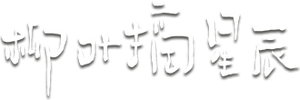 柳叶摘星辰 — Logos 2