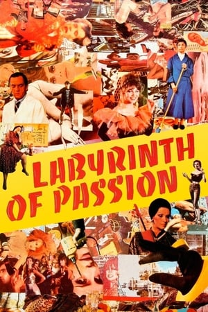Poster Labyrinth of Passion 1982