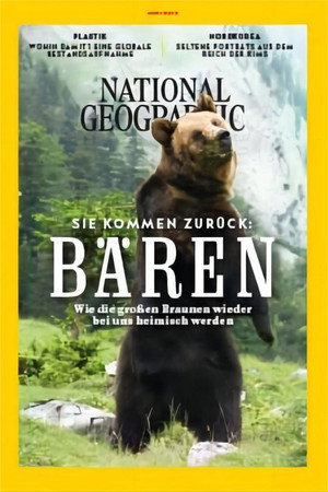The Return of The Bear poster