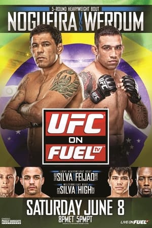 Poster UFC on Fuel TV 10: Nogueira vs. Werdum (2013)