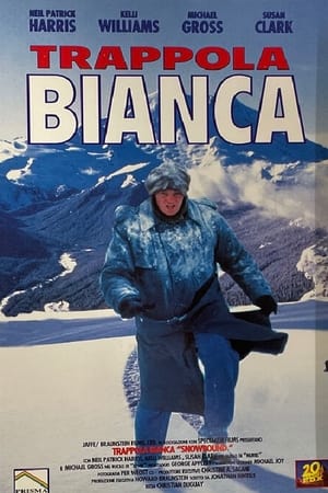 Poster Una piccola vita da salvare 1994