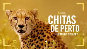 Chitas de Perto com Bertie Gregory