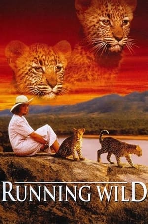 Poster 非洲猎豹 1995