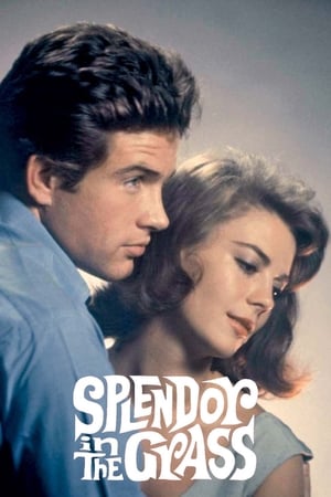 Click for trailer, plot details and rating of Splendor In The Grass (1961)