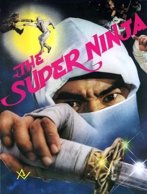 Poster El escuadrón de los ninjas 1984