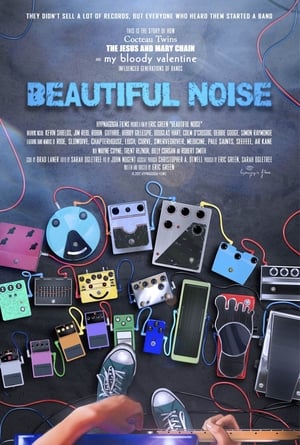 Poster Beautiful Noise 2014