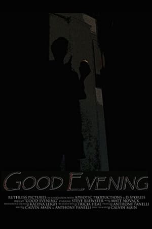 Poster Good Evening (2016)