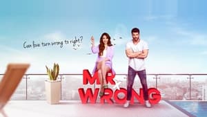 poster Mr. Wrong
