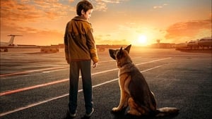 Palma un amore di cane (2021)