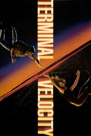 Poster Terminal Velocity 1994