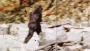 MonsterQuest Bigfoot