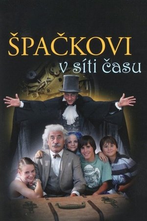 Špačkovi v síti času poster