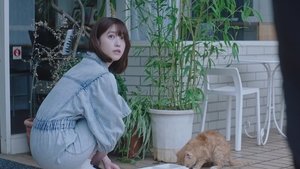 Halation Love Season 1 Episode 3