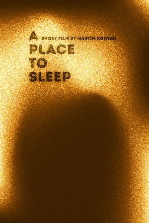Poster di A Place to Sleep