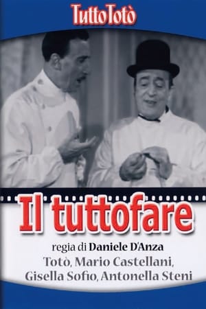 Image Tutto Totò - Il tuttofare