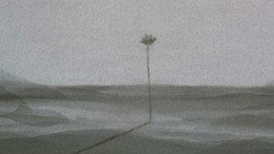 Poster for Nós