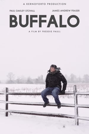 Poster Buffalo 2019