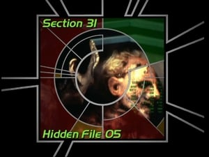 Image Section 31: Hidden File 05 (S03)