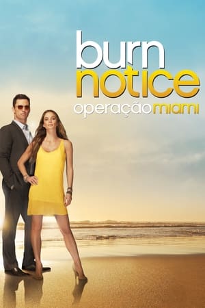 Burn Notice: Temporada 5