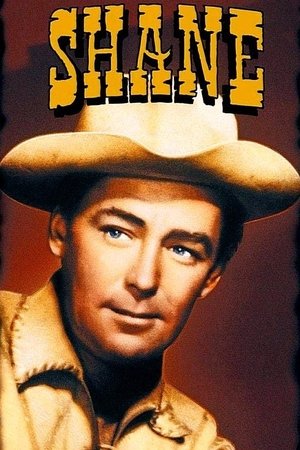poster Shane