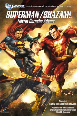 Superman/Shazam!: Návrat černého Adama (2010)