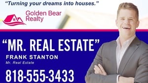 Mr. Real Estate