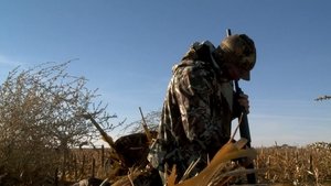 MeatEater Ribeye of the Sky: Sandhill Cranes in West Texas