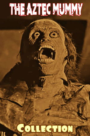 The Aztec Mummy Collection