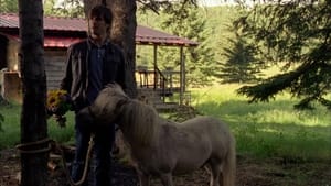 Heartland: 5×8