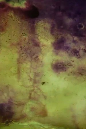 Nonton film 359 Slides (2016) terbaru sub indo