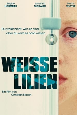 Weisse Lilien 2008