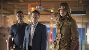 Castle: 7×2