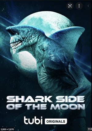poster Shark Side of the Moon