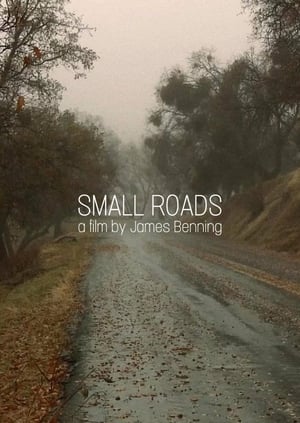 Poster small roads 2011