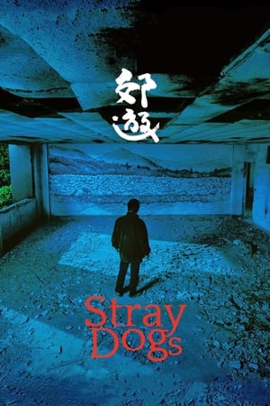 Poster Stray Dogs 2014