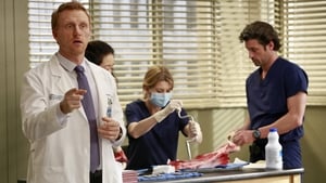 Grey’s Anatomy Season 9 Episode 20