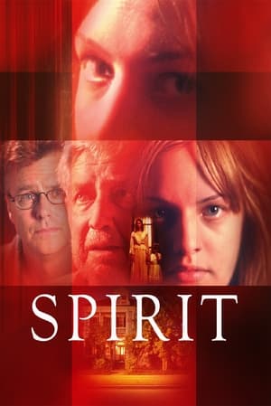 Poster Spirit (2001)