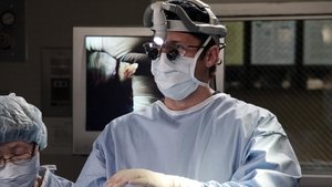 Grey’s Anatomy: Season 8 Episode 22