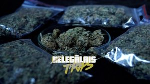 Episode 4
