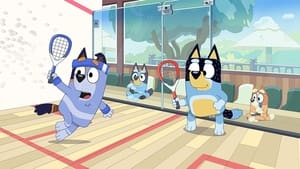 Bluey: 2×4