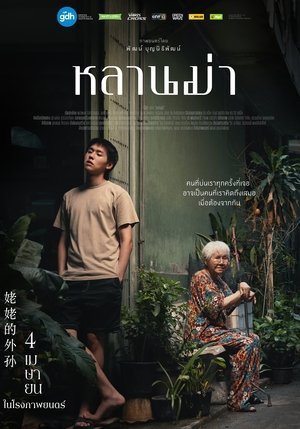 <Images posters