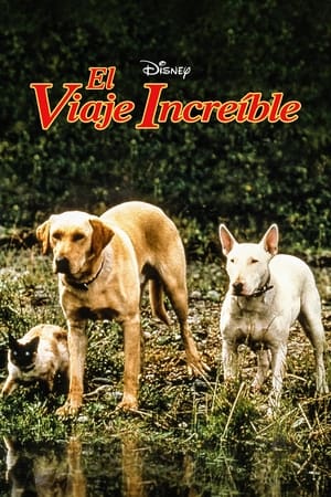 Poster El viaje increible 1963