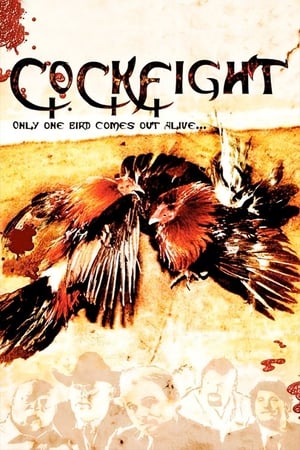 Image Cockfight