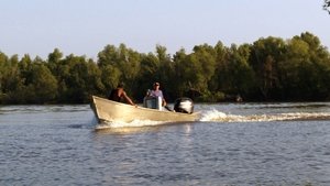 Swamp People Raging Bulls