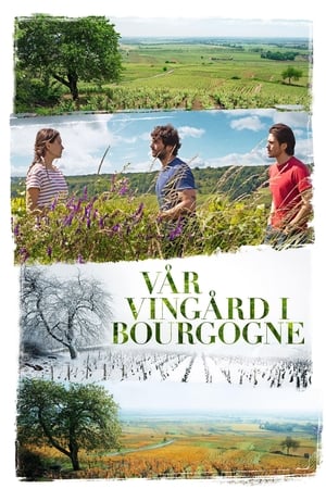 Vår vingård i Bourgogne 2017