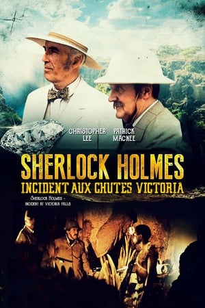Poster Sherlock Holmes - Incident aux chutes Victoria 1992