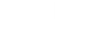 L'Inconnu du lac