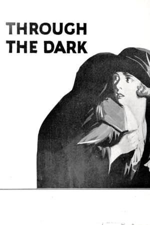 Poster Through the Dark 1924