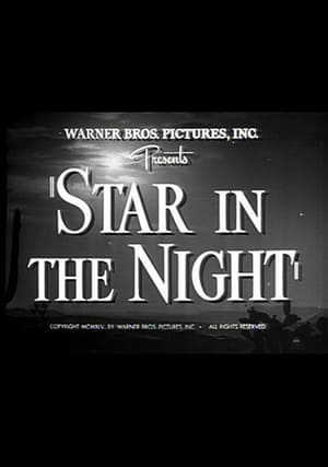 Poster Star in the Night (1945)