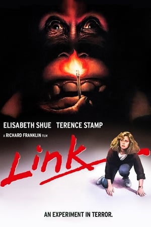  Link - 1986 